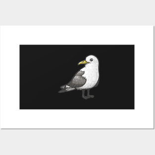 Black-Legged Kittiwake Posters and Art